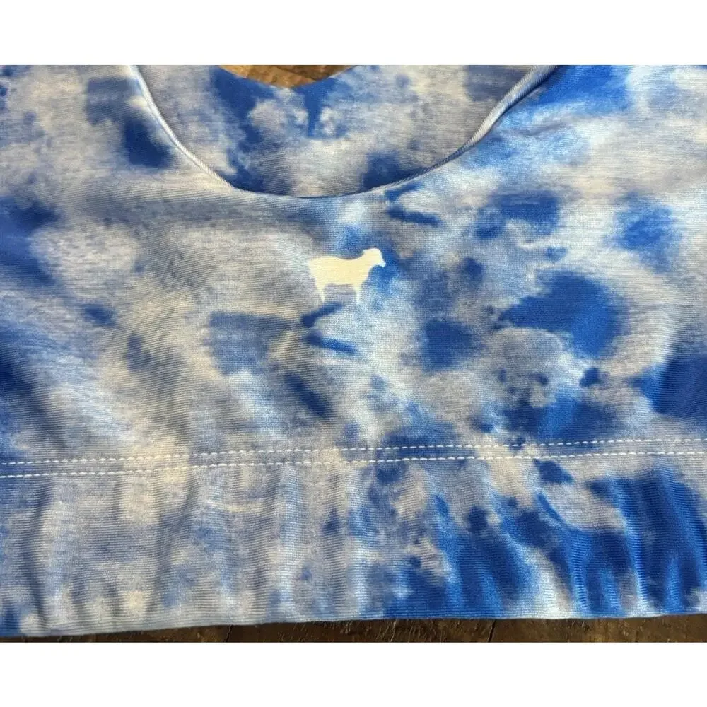 Goldsheep Sports Bra Size Small Blue Workout Running